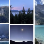 What Is The Most Beautiful Thing You Know About Cedar Trees?